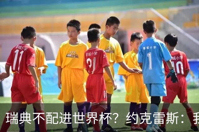 瑞典不配进世界杯？约克雷斯：我们凭实力进的，首战就5-1赢了